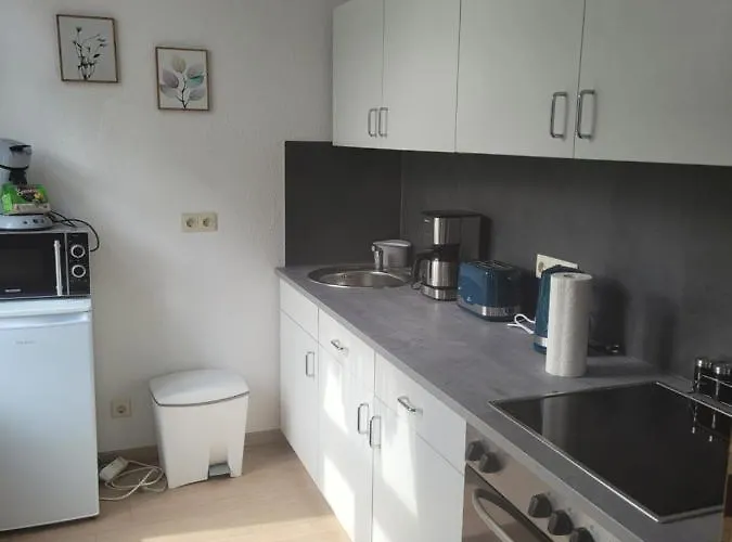 Apartment Rote-villa 2 *